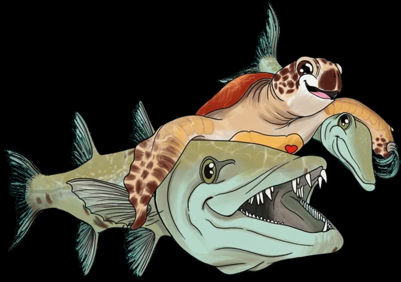 Une tortue de mer en équilibre sur un barracuda, illustration des Fables de Gunter